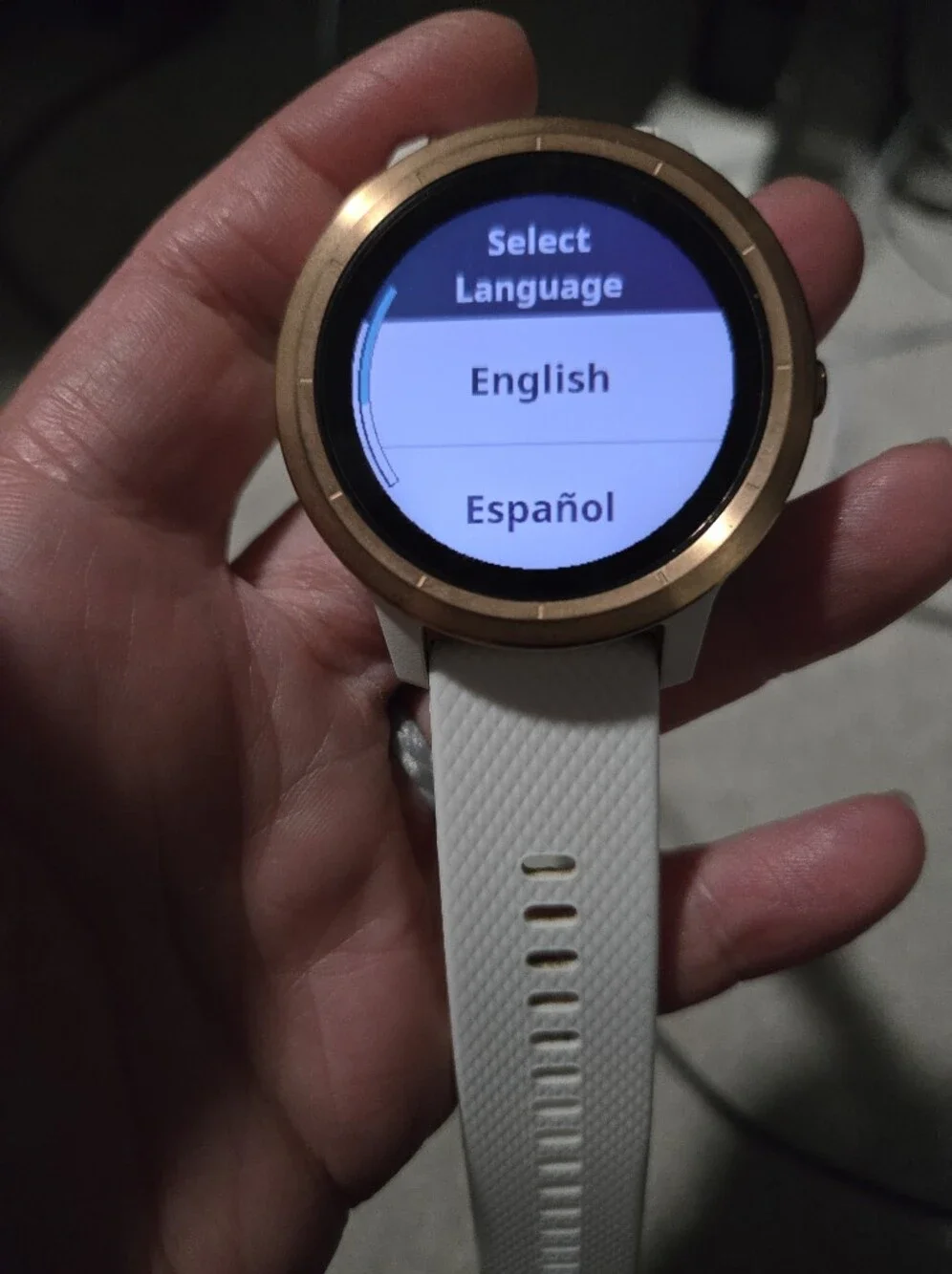 Garmin Vivoactive 3